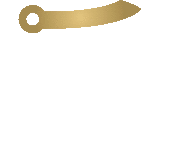 Iron Comet Consulting, Inc.